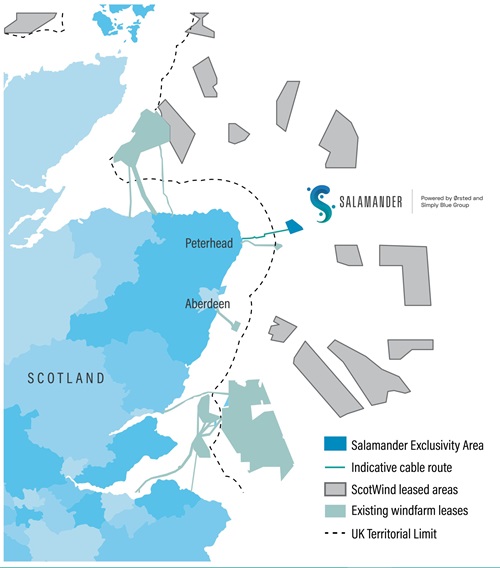 Salamander floating wind project to collaborate with UHI on marine environment study