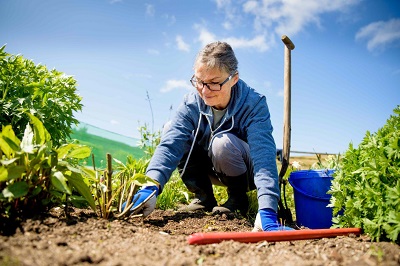 Person gardening in outdoor space