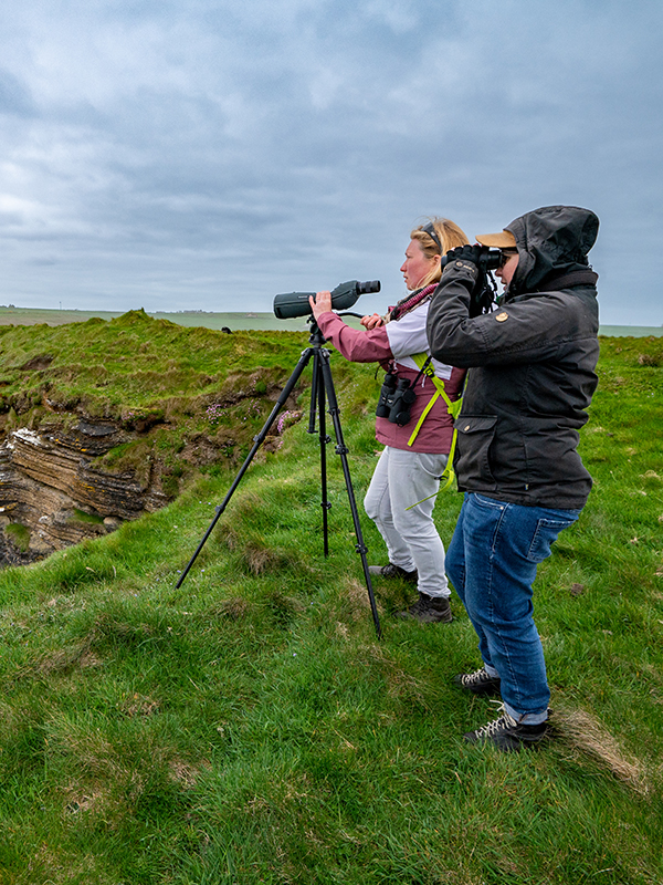 Two people bird watching