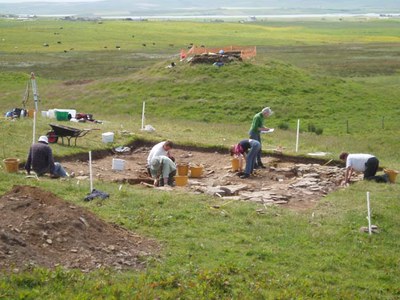 Archaeological dig