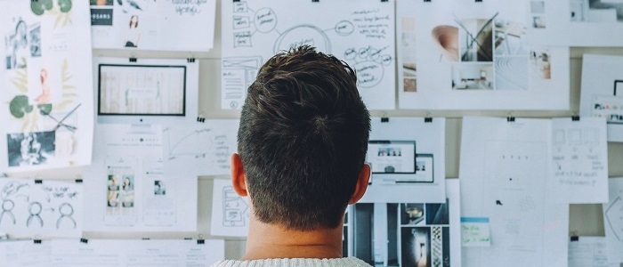 Person looking at pieces of paper pinned on a board