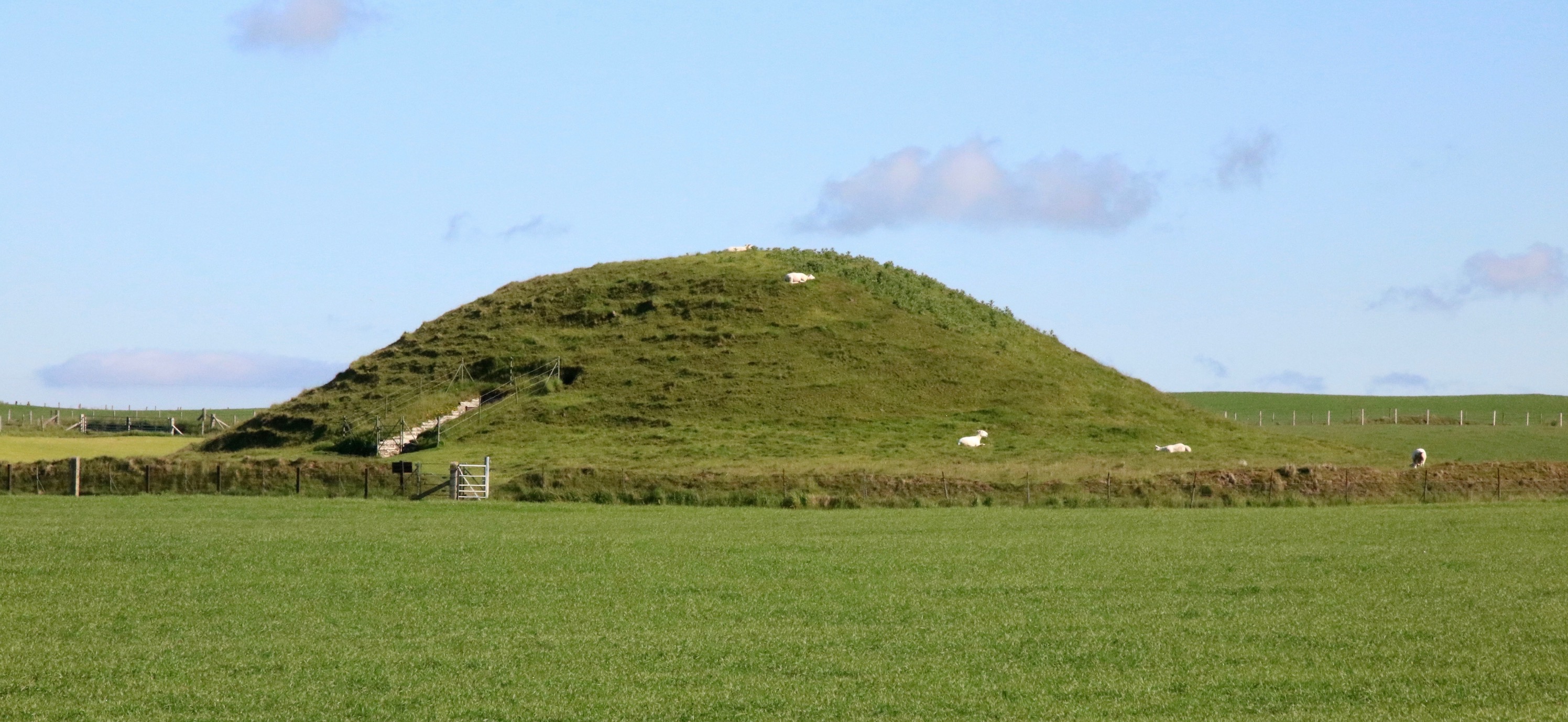 Stenness, Scotland, September 7 June 2019, credit Ms. van der Reijden