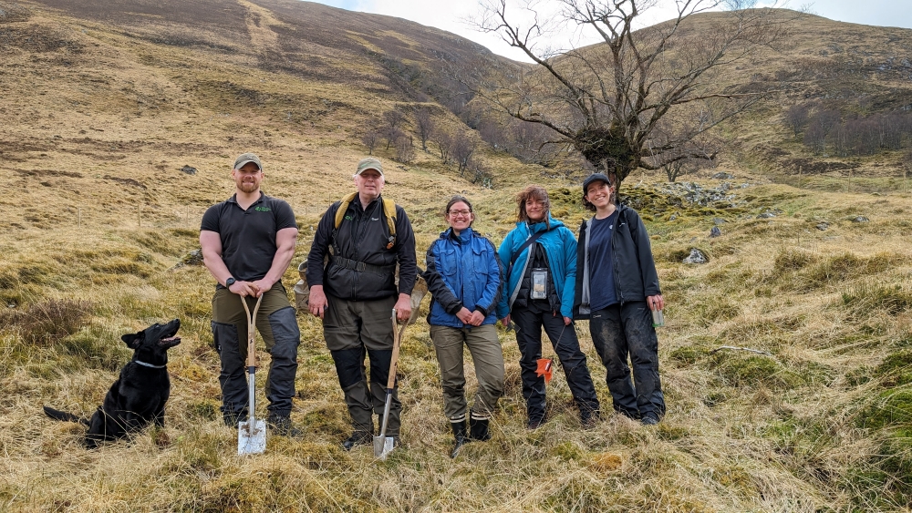 UHI collaborate in conservation initiative to save Scotland’s wych elm