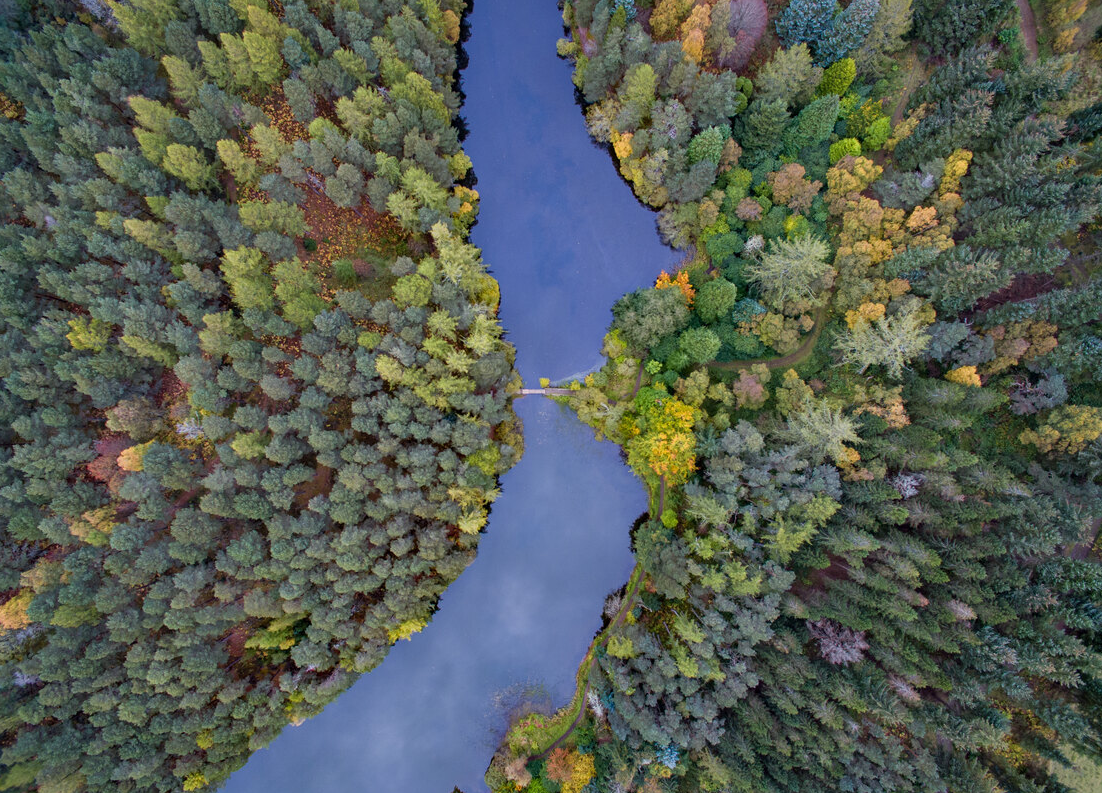 drone shot of river