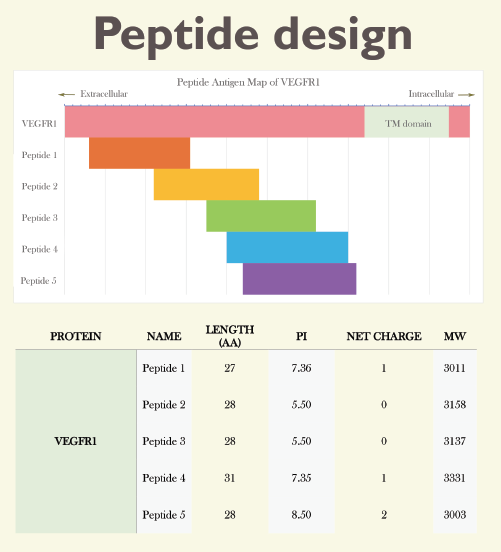 Conference poster