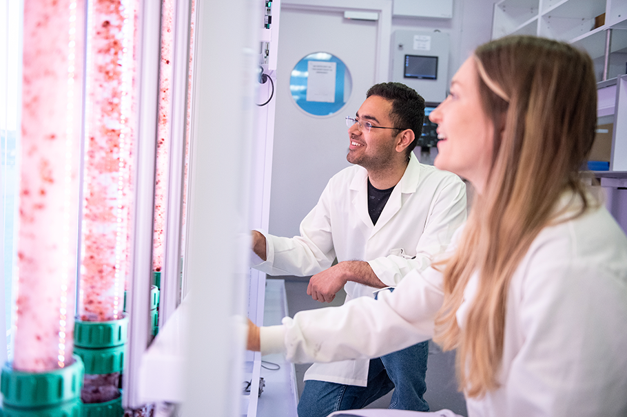 Two people looking at an algae bioreactor