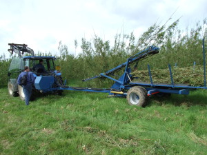 Prototype whole rod harvester