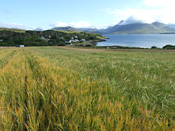 Raasay