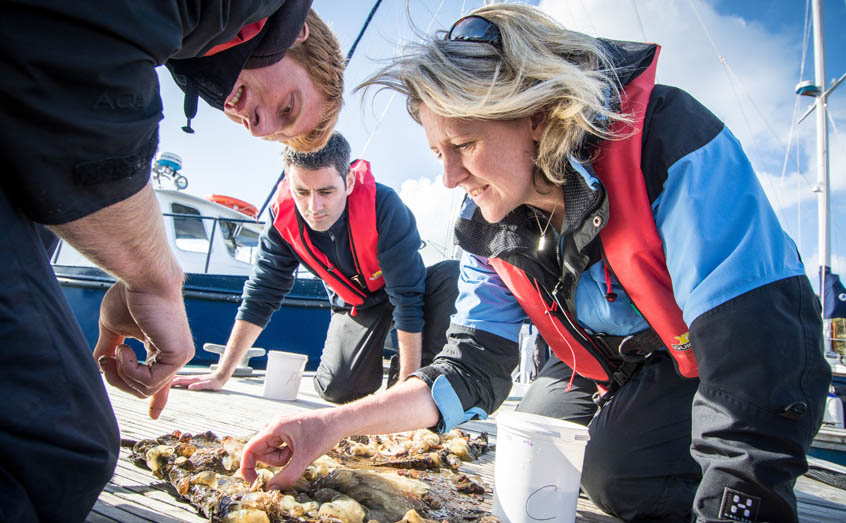 Aquaculture researcher wins ‘outstanding contribution’ award