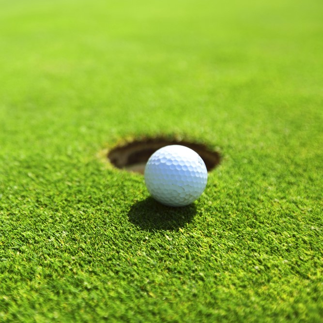 Golf ball on a putting green